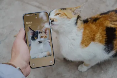 BetCart Kasino Apl Mudah Alih